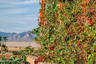 38 Longview Loop Rd, Elgin, AZ 85611 - Photo 28