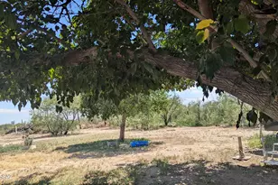 243 S Quail Dr, Willcox, AZ 85643 - Photo 24