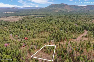 14 Co Rd 2074 #29, Alpine, AZ 85920 - Photo 8