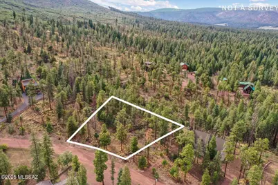 14 Co Rd 2074 #29, Alpine, AZ 85920 - Photo 6