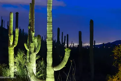 3700 N Avenida Dos Vistas, Tucson, AZ 85745 - Photo 46