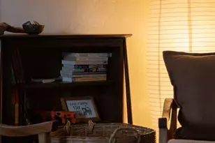 615 S Star Ave Ave, Tucson, AZ 85719 - Photo 10