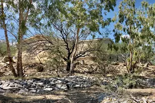 13401 E Walts Way, Vail, AZ 85641 - Photo 28