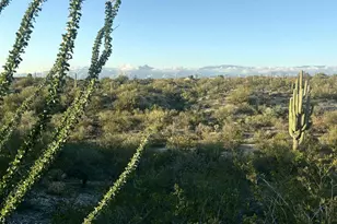 Tbd E Placita Rancho Grande, Tucson, AZ 85730 - Photo 1