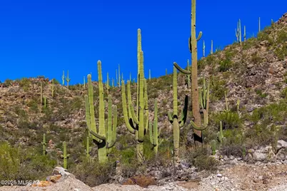14124 N Tortolita Estates Drive, Tucson, AZ 85755 - Photo 12