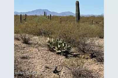 2046 E Old Stone House Trail #61, Sahuarita, AZ 85629 - Photo 2