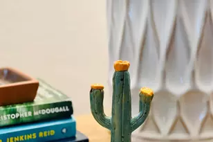 12683 N Sleeping Coyote Dr, Oro Valley, AZ 85755 - Photo 20