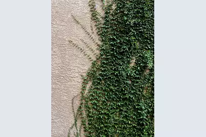 12683 N Sleeping Coyote Drive, Oro Valley, AZ 85755 - Photo 26