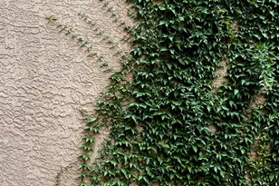 12683 N Sleeping Coyote Dr, Oro Valley, AZ 85755 - Photo 26