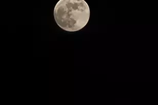 6181 N Bobcat Ln, Tucson, AZ 85743 - Photo 28