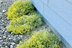 275 W 275 N, Pima, AZ 85543 - Photo 36