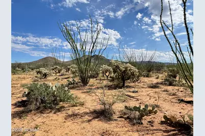 14950 S Herfkens Avenue #334, Tucson, AZ 85736 - Photo 14