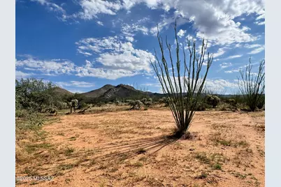 14950 S Herfkens Avenue #334, Tucson, AZ 85736 - Photo 10