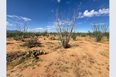 14950 S Herfkens Avenue #334, Tucson, AZ 85736 - Photo 18