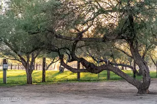8959 E Woodland Rd, Tucson, AZ 85749 - Photo 40