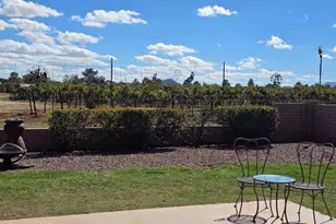 924 E Saguaro Dr, Pearce, AZ 85625 - Photo 28