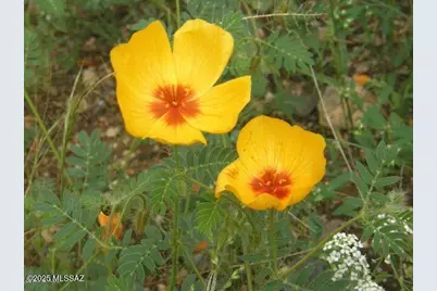 E162 E De Vaca Circle #62, Saint David, AZ 85630 - Photo 14