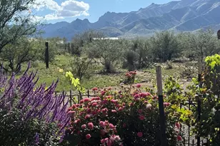 1606 N Panorama Way, Cochise, AZ 85606 - Photo 4