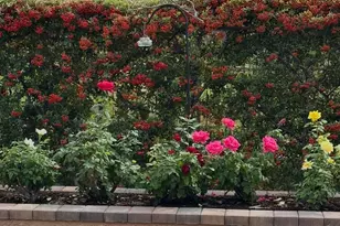 7015 W Cliff Spring Trail, Marana, AZ 85658 - Photo 38