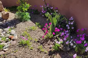 95 Camino Josefina, Rio Rico, AZ 85648 - Photo 22