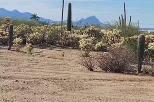 10455 W Mars Rd, Tucson, AZ 85743 - Photo 4