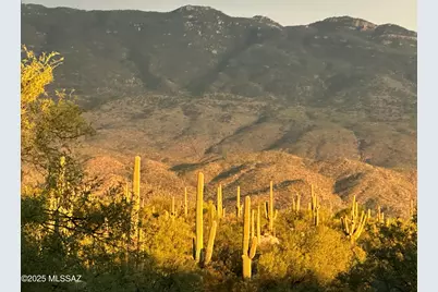 2580 N Avenida Sorgo N, Tucson, AZ 85749 - Photo 46