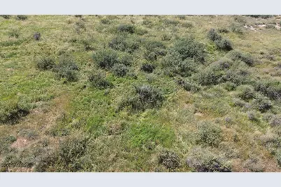 73.92 Acre W Latimer Road #2, Elfrida, AZ 85610 - Photo 18