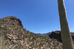 7296 E Stone Canyon Dr, Tucson, AZ 85750 - Photo 12