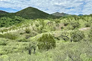 00 Proctor Ln, Patagonia, AZ 85624 - Photo 1