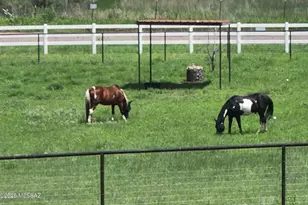 4 Mustang Trail, Sonoita, AZ 85637 - Photo 2