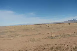 40 Acres Parker Ranch Rd, Willcox, AZ 85643 - Photo 1