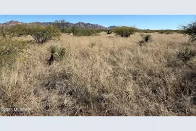 45 Ac S De Niza Road #48, Saint David, AZ 85630 - Photo 8