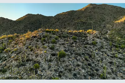 4365 W Cush Canyon Loop, Marana, AZ 85658 - Photo 14