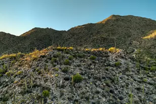 4365 W Cush Canyon Loop, Marana, AZ 85658 - Photo 14