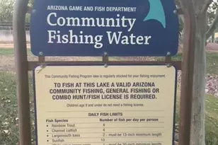 299 W Calle Del Estribo, Sahuarita, AZ 85629 - Photo 44