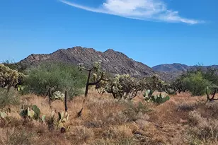 15246 S Carlsburg Ave, Tucson, AZ 85736 - Photo 44