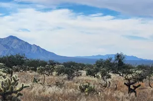 15246 S Carlsburg Ave, Tucson, AZ 85736 - Photo 12