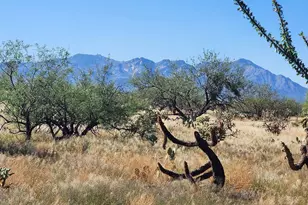 15246 S Carlsburg Ave, Tucson, AZ 85736 - Photo 34