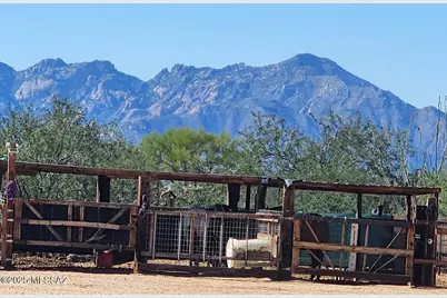 15246 S Carlsburg Avenue #124-127, Tucson, AZ 85736 - Photo 4