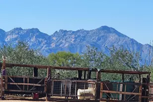 15246 S Carlsburg Ave, Tucson, AZ 85736 - Photo 4