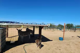 15246 S Carlsburg Ave, Tucson, AZ 85736 - Photo 26