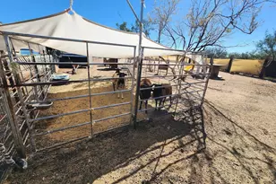 15246 S Carlsburg Ave, Tucson, AZ 85736 - Photo 36