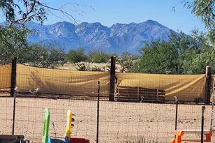 15246 S Carlsburg Ave, Tucson, AZ 85736 - Photo 20