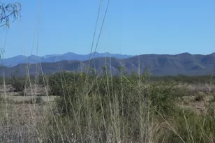 10747 N Bell Rd, Elfrida, AZ 85610 - Photo 22