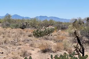 14454 S Ezra Pl, Tucson, AZ 85736 - Photo 4
