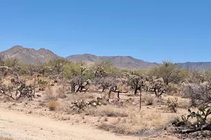14454 S Ezra Pl, Tucson, AZ 85736 - Photo 1