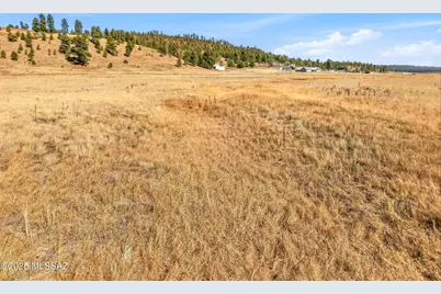 Lot 23 The Ranch At Alpine #23, Alpine, AZ 85920 - Photo 8