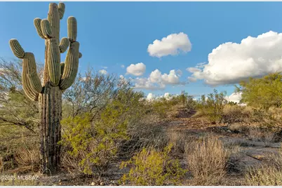 10845 N Summer Moon Place, Tucson, AZ 85737 - Photo 12