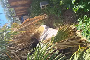 5547 E 29th St, Tucson, AZ 85711 - Photo 6