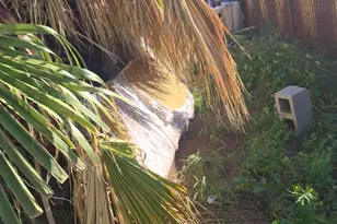 5547 E 29th St, Tucson, AZ 85711 - Photo 6